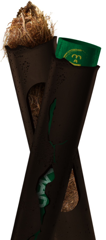 Blocked drains Adelaide